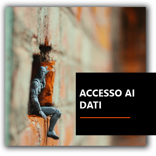 Accesso ai dati - A.S.D. Drago Azzurro